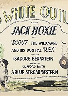 The White Outlaw (1925) afişi