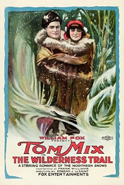 The Wilderness Trail (1919) afişi The Wilderness Trail (1919) afişi
