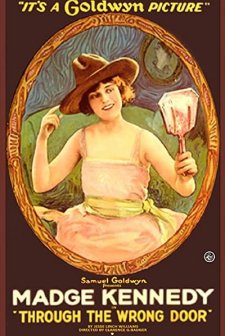 Through The Wrong Door (1919) afişi