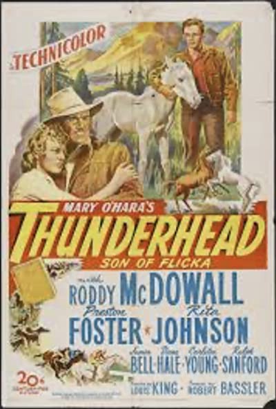 Thunderhead - Son of Flicka (1945) afişi Thunderhead - Son of Flicka (1945) afişi