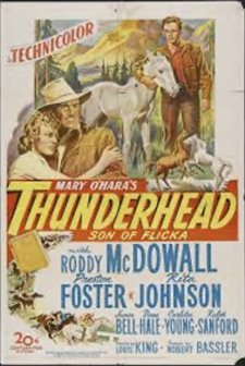 Thunderhead - Son of Flicka (1945) afişi