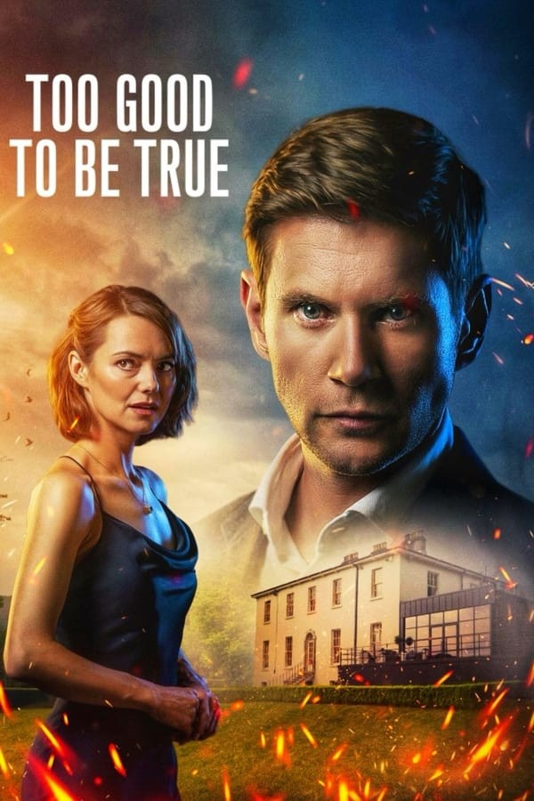 Too Good to be True (2024) afişi Too Good to be True (2024) afişi