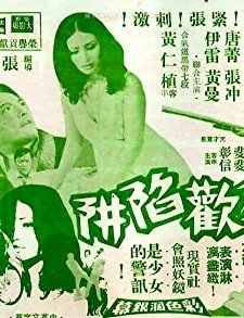 Tou Huan Xian Jing (1972) afişi