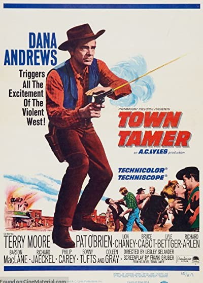 Town Tamer (1965) afişi Town Tamer (1965) afişi