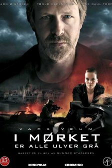 Tüm Kurtlar Gecenin Rengine Bürünür afişi