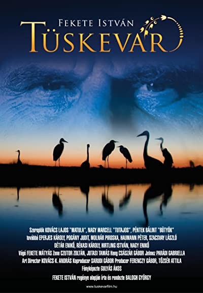 Tüskevár (2012) afişi Tüskevár (2012) afişi