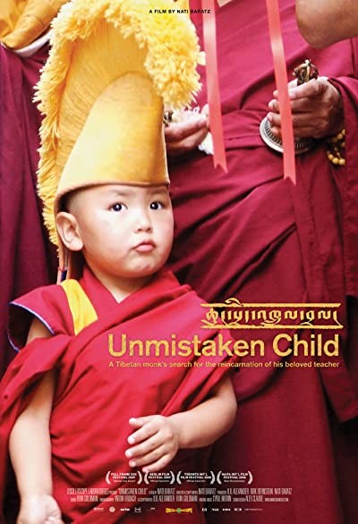 Unmistaken Child (2008) afişi Unmistaken Child (2008) afişi