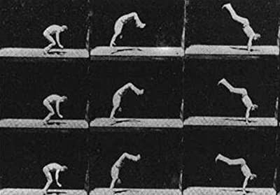 Unsuccessful Somersault (1894) afişi Unsuccessful Somersault (1894) afişi