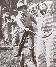 Victim Of Circumstances