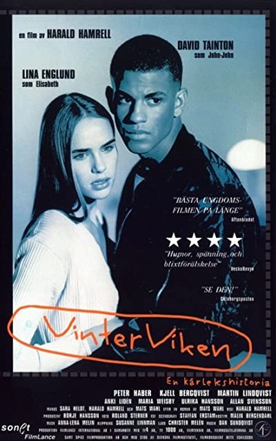 Vinterviken (1996) afişi