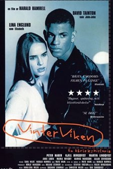 Vinterviken (1996) afişi