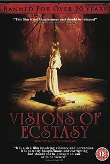 Visions of Ecstasy (1989) afişi
