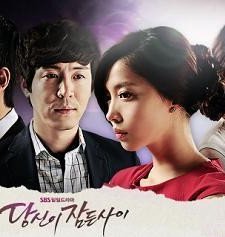 While You Were Sleeping (2011) afişi