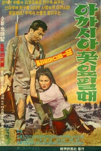 When Acacias Bloom (1962) afişi When Acacias Bloom (1962) afişi
