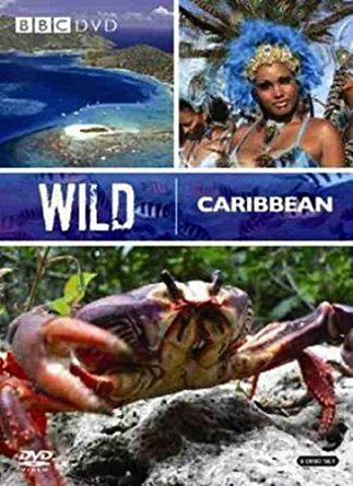 Wild Caribbean (2007) afişi Wild Caribbean (2007) afişi