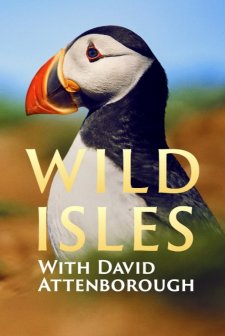 Wild Isles (2023) afişi