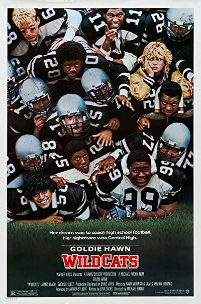 Wildcats (1986) afişi Wildcats (1986) afişi