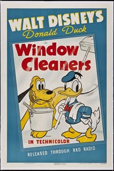Window Cleaners