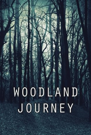 Woodland Journey (2011) afişi Woodland Journey (2011) afişi