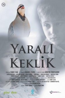 Yaralı Keklik (2019) afişi
