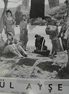 Yayla Güzeli Gül Ayşe