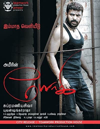 Yogi (2009) afişi Yogi (2009) afişi