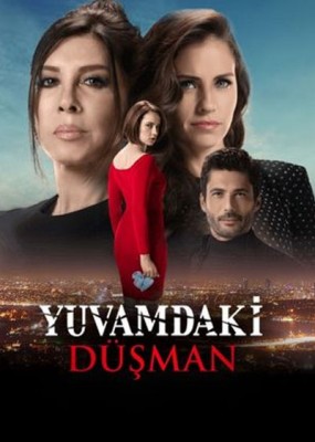 Yuvamdaki Düşman (2019) afişi Yuvamdaki Düşman (2019) afişi