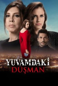 Yuvamdaki Düşman (2019) afişi