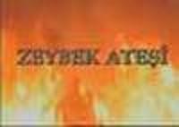 Zeybek Ateşi (2002) afişi
