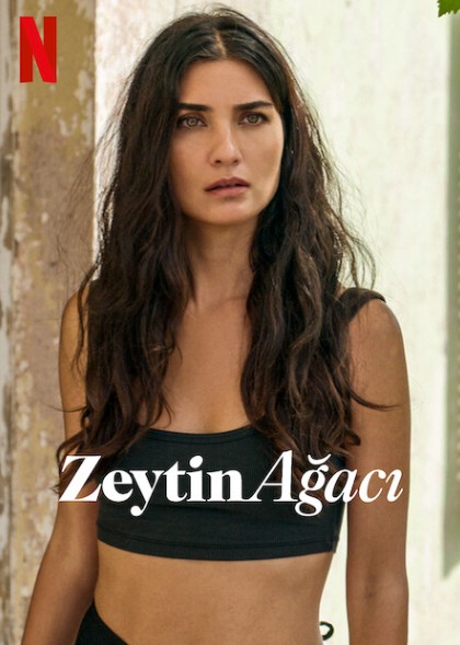 Zeytin Ağacı