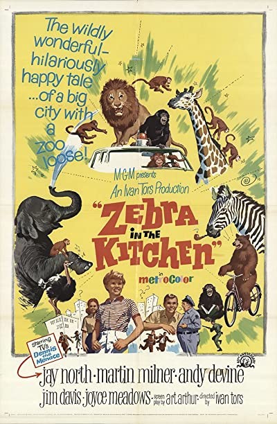 Zebra In The Kitchen (1965) afişi Zebra In The Kitchen (1965) afişi