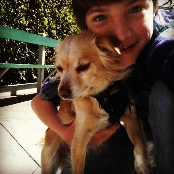 Jake Short Fotoğrafları 0