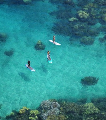 Kate Moss Fotoğrafı