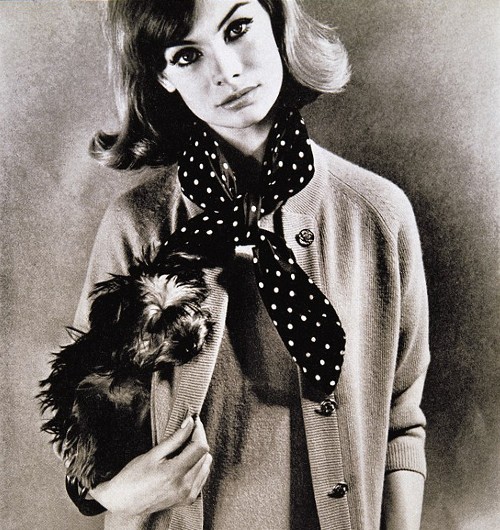 Jean Shrimpton Fotoğrafları 2