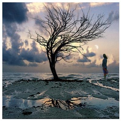 Xianghai Gu Fotoğrafı