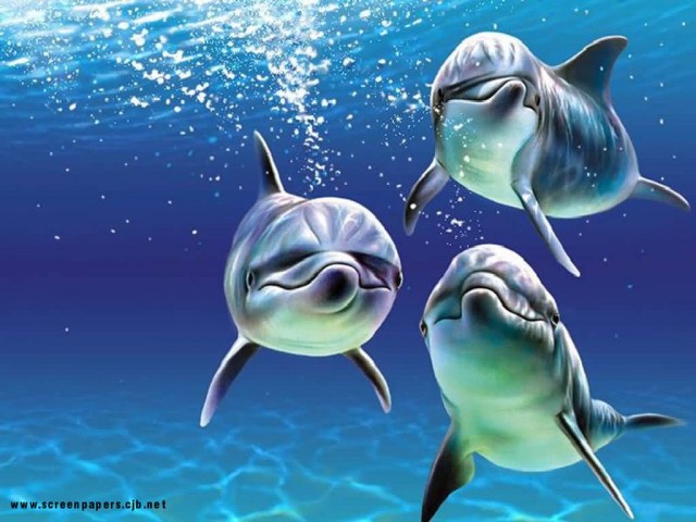 June Cunningham Fotoğrafı