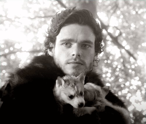 Richard Madden Fotoğrafı