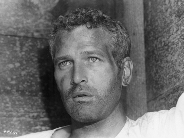 Paul Newman Fotoğrafları 52