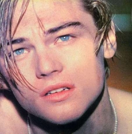Leonardo DiCaprio Fotoğrafları 196