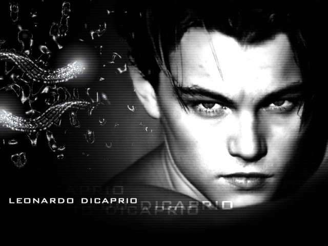 Leonardo DiCaprio Fotoğrafları 346