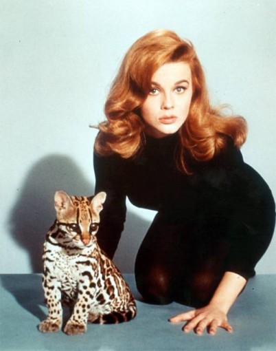 Ann-Margret Fotoğrafları 27