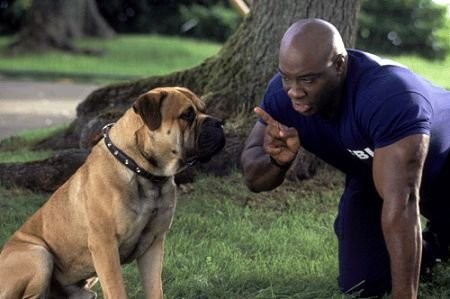 Michael Clarke Duncan Fotoğrafı