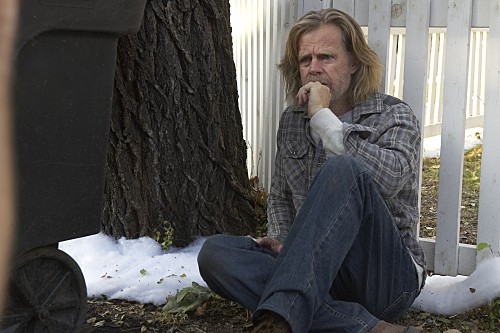 William H. Macy Fotoğrafları 11