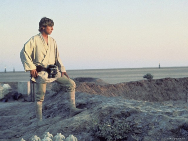 Mark Hamill Fotoğrafları 5