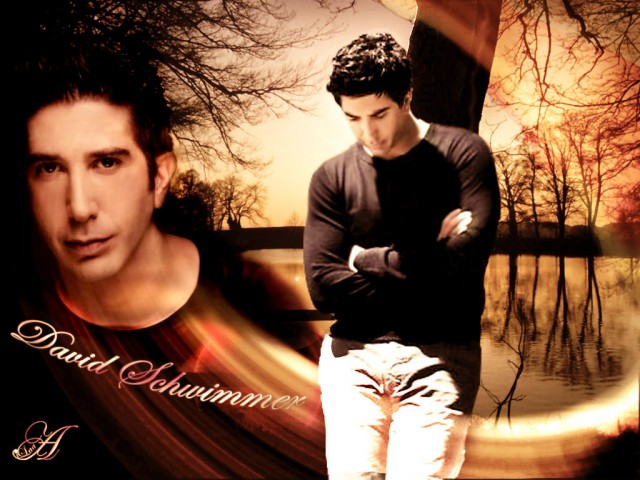 David Schwimmer Fotoğrafları 6