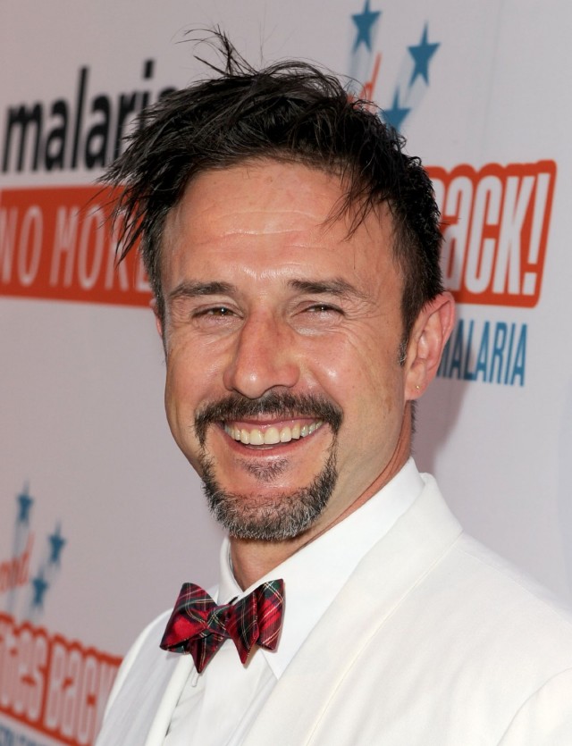 David Arquette Fotoğrafları 47