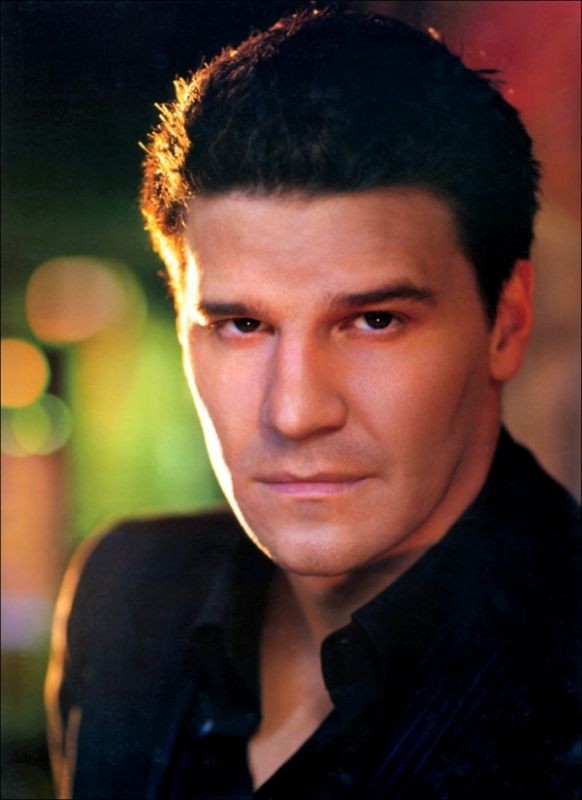 David Boreanaz Fotoğrafları 12