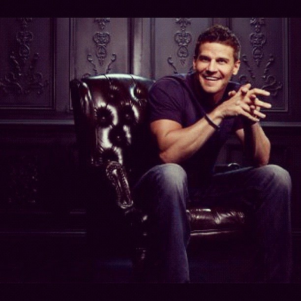 David Boreanaz Fotoğrafları 20