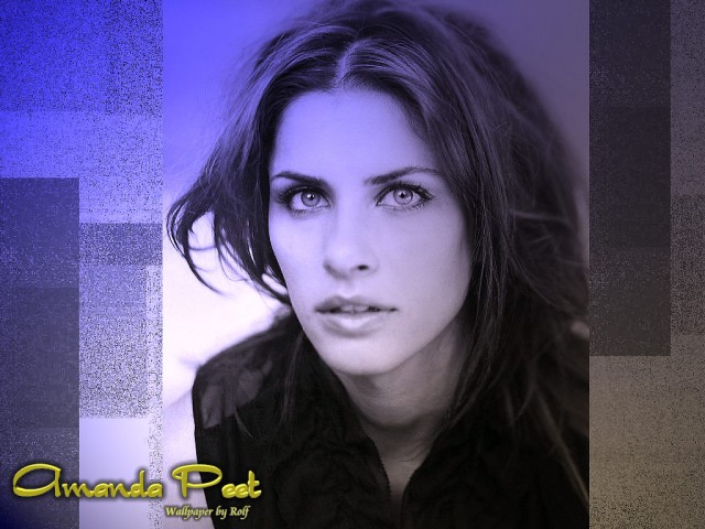 Amanda Peet Fotoğrafları 15