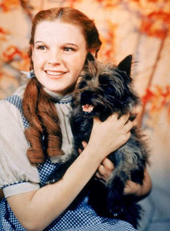 Judy Garland Fotoğrafları 7